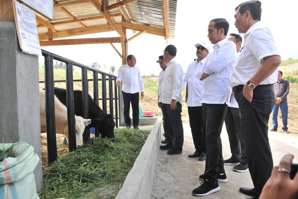 Pemerintah Akan Ambil Alih Tanah Konsesi Terlantar di Kawasan Toba