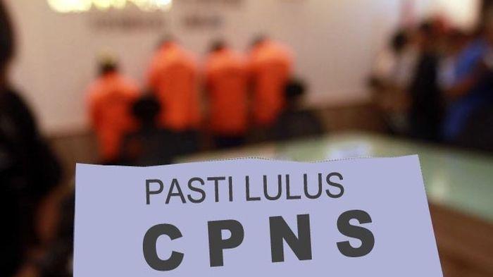 Awas, Marak Penipuan Lowongan CPNS